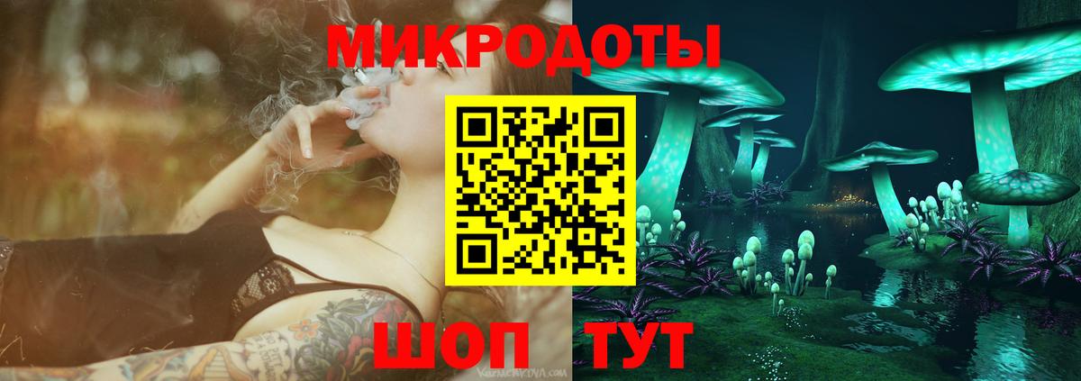 Галлюциногенные грибы MAGIC MUSHROOMS  Вход с VPN  Серов 